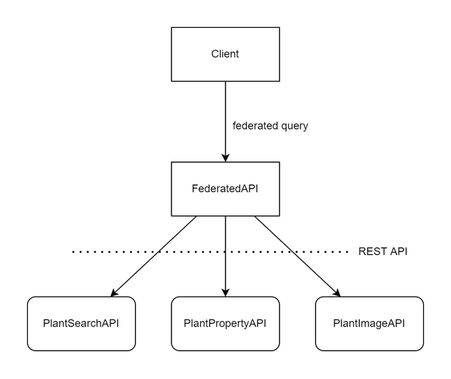 federated api the goal