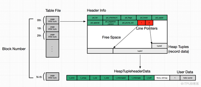 PostgreSQL data file format